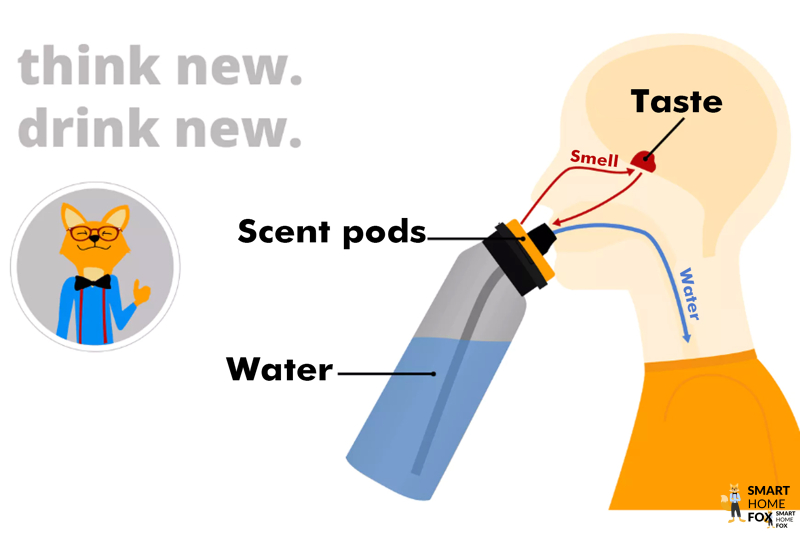 Air Up hydration system